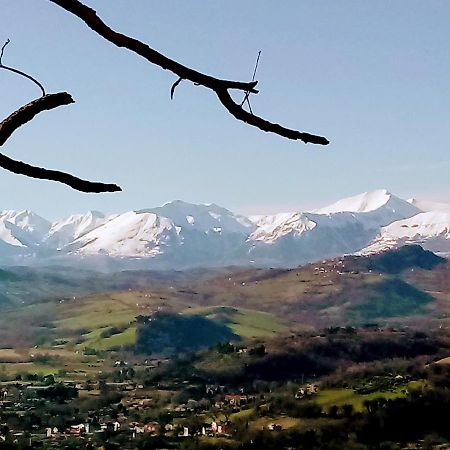 Residenza Corso Baccio Daire SantʼElpidio a Mare Dış mekan fotoğraf